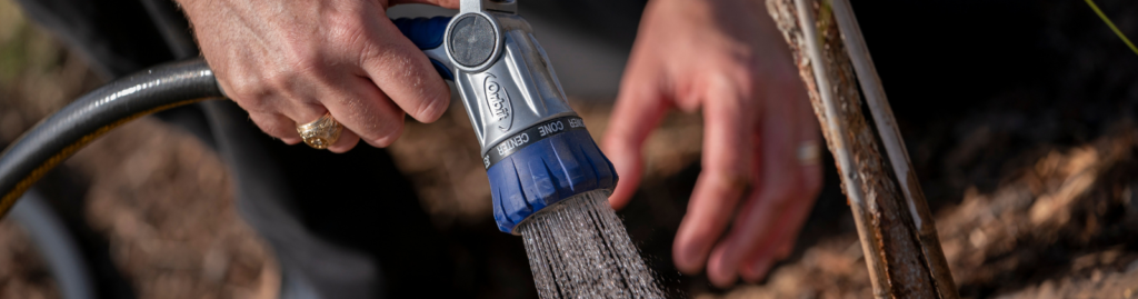 Person watering with a garden hose